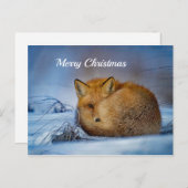 Fox Sneeuwfotokerst Briefkaart (Voorkant / Achterkant)