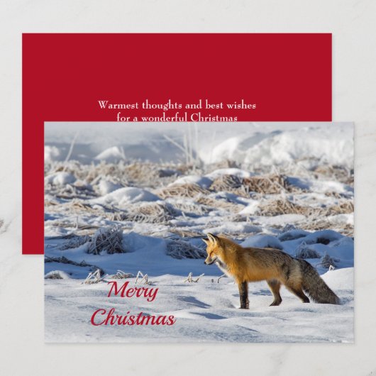 Fox Sneeuwfotokerstflaag Feestdagenkaart (Voorkant / Achterkant)