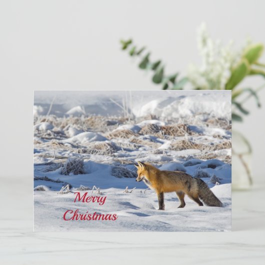 Fox Sneeuwfotokerstflaag Feestdagenkaart (Staand voorkant)