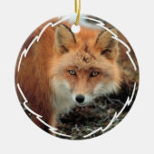 Fox Soort Ornament (Voorkant)
