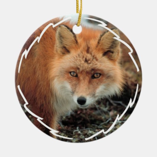Fox Soort Ornament (Voorkant)
