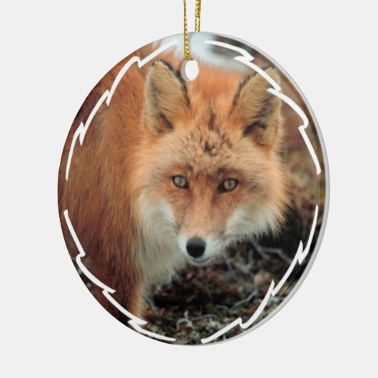 Fox Soort Ornament (Links)