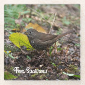 Fox Sparrow Glazen Onderzetter (Voorkant)
