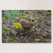 Fox Sparrow Legpuzzel (Horizontaal)