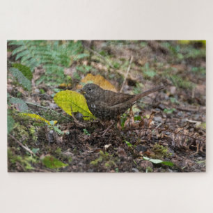 Fox Sparrow Legpuzzel