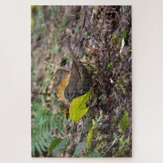 Fox Sparrow Legpuzzel (Verticaal)