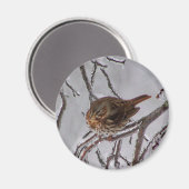 Fox Sparrow Magneet (Voorkant / Achterkant)