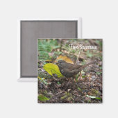 Fox Sparrow Magneet (Voorkant / Achterkant)