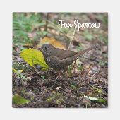 Fox Sparrow Magneet (Voorkant)
