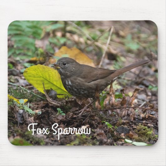 Fox Sparrow Muismat (Voorkant)