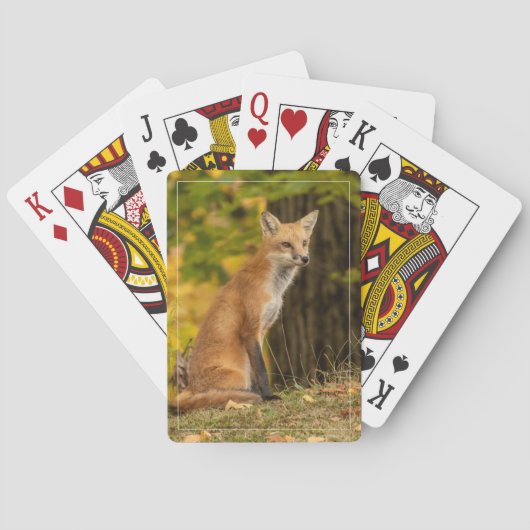 Fox-speelkaarten bekijken pokerkaarten (Achterkant)