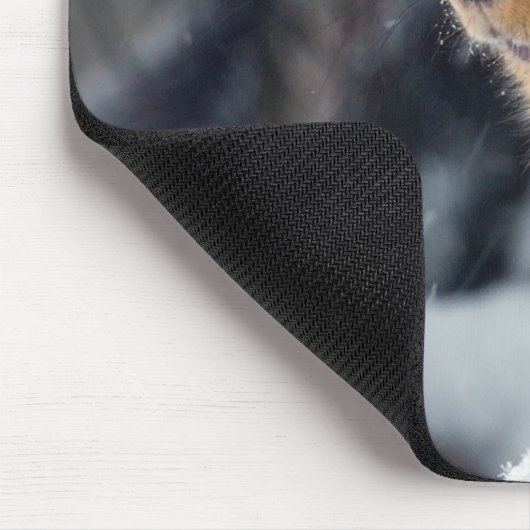 Fox Squirrel in Winter Muismat (Hoek)