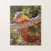 Fox Squirrel Natuur Dierenpuzzel Legpuzzel (Verticaal)