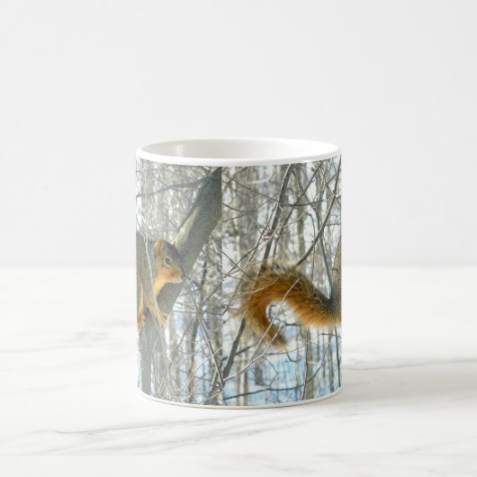 Fox Squirrel Profile (Winter) Mok (Center)