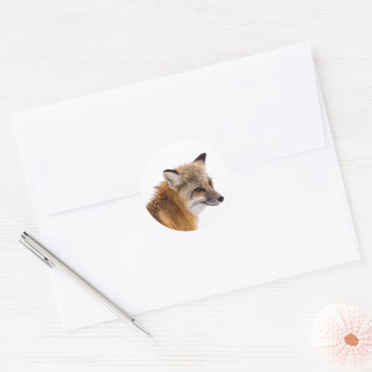 Fox stickers (Envelop)