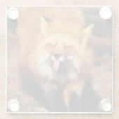 Fox Sticking Het is Tongue Glazen Onderzetter (Achterkant)