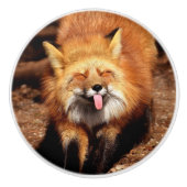 Fox Sticking Het is Tongue Keramische Knop (Voorkant)