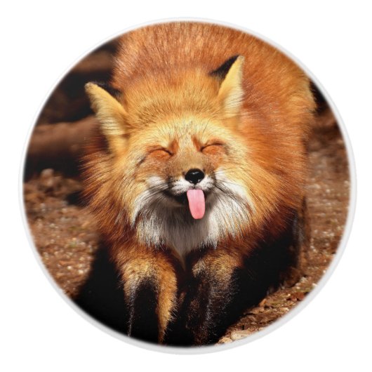 Fox Sticking Het is Tongue Keramische Knop (Voorkant)