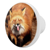 Fox Sticking Het is Tongue Keramische Knop (Rechts)