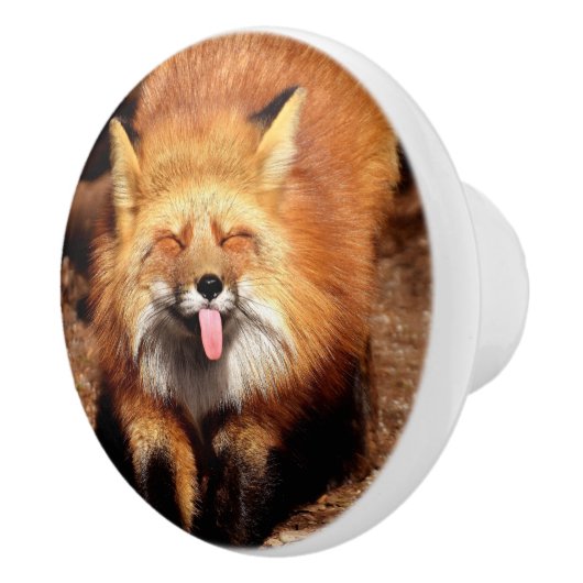 Fox Sticking Het is Tongue Keramische Knop (Rechts)