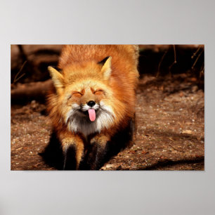 Fox Sticking Het is Tongue Poster