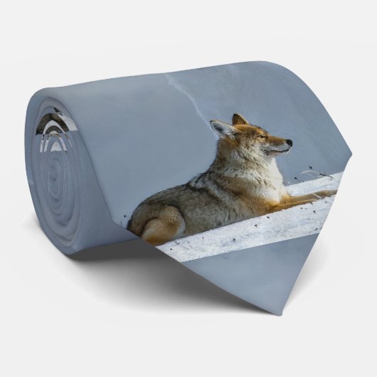 Fox Stropdas (Opgerold)