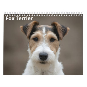 Fox Terrier 2027 wandkalender Kalender