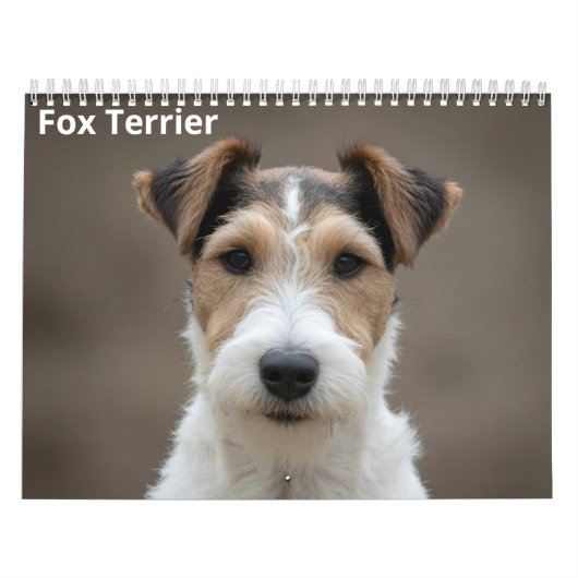 Fox Terrier 2027 wandkalender Kalender (Hoes)