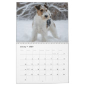 Fox Terrier 2027 wandkalender Kalender (Jan 2027)