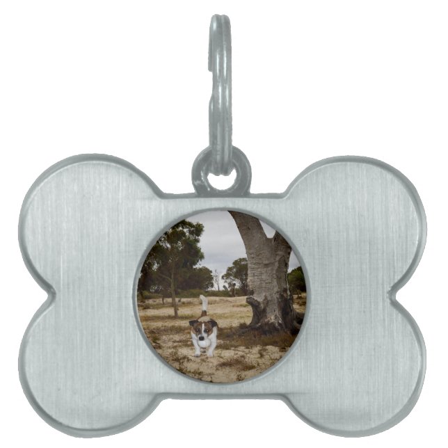Fox Terrier Ball Play Time Huisdieren Naamplaatje (voorkant)
