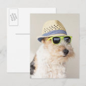 Fox Terrier Briefkaart (Voorkant / Achterkant)