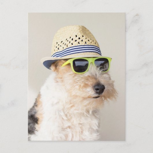 Fox Terrier Briefkaart (Voorkant)