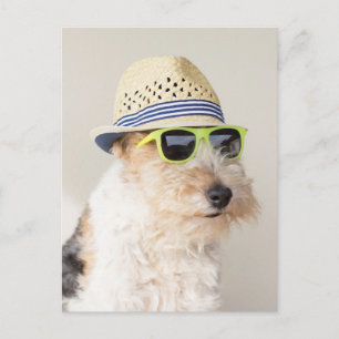Fox Terrier Briefkaart