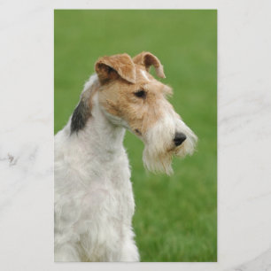 Fox Terrier Briefpapier
