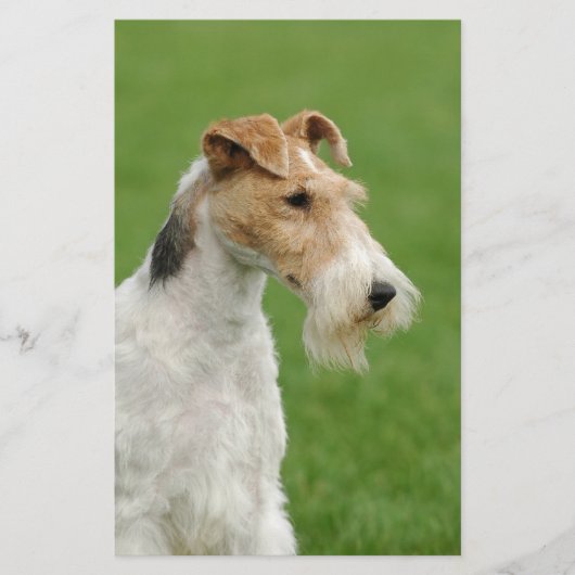 Fox Terrier Briefpapier (Voorkant)