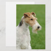 Fox Terrier Briefpapier (Voorkant / Achterkant)