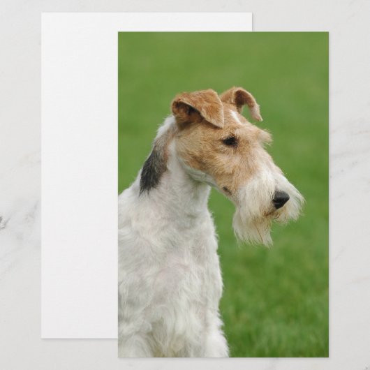 Fox Terrier Briefpapier (Voorkant / Achterkant)