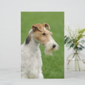 Fox Terrier Briefpapier (Staand voorkant)