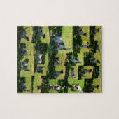 Fox Terrier, de harde dag, fotocollage, Legpuzzel (Horizontaal)