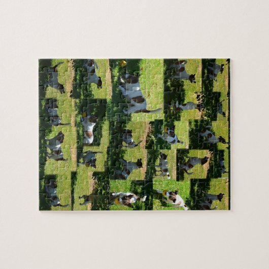 Fox Terrier, de harde dag, fotocollage, Legpuzzel (Horizontaal)