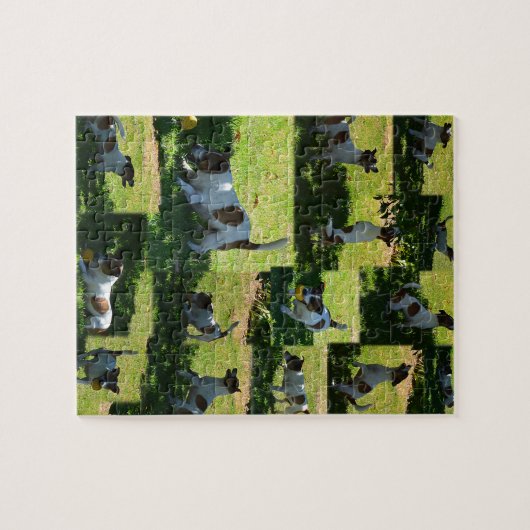 Fox Terrier, de harde dag, Legpuzzel (Horizontaal)