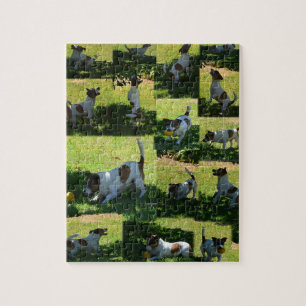 Fox Terrier, de harde dag, Legpuzzel