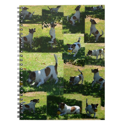 Fox Terrier, de harde dag, Notitieboek (Voorkant)