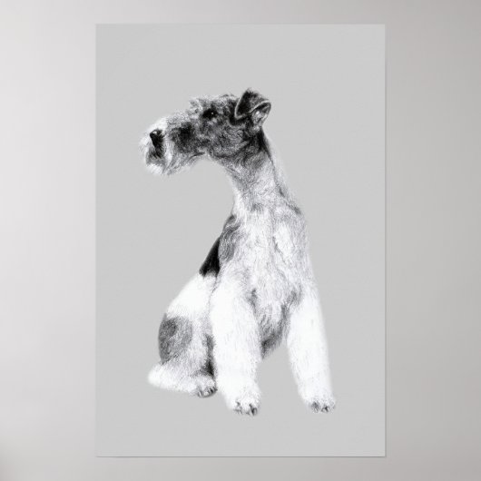 Fox Terrier Drawing Poster (Voorkant)