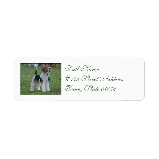 Fox Terrier Etiket (Voorkant)