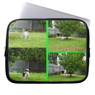 Fox Terrier, foto Collage 10-inch laptophoes. Laptop Sleeve