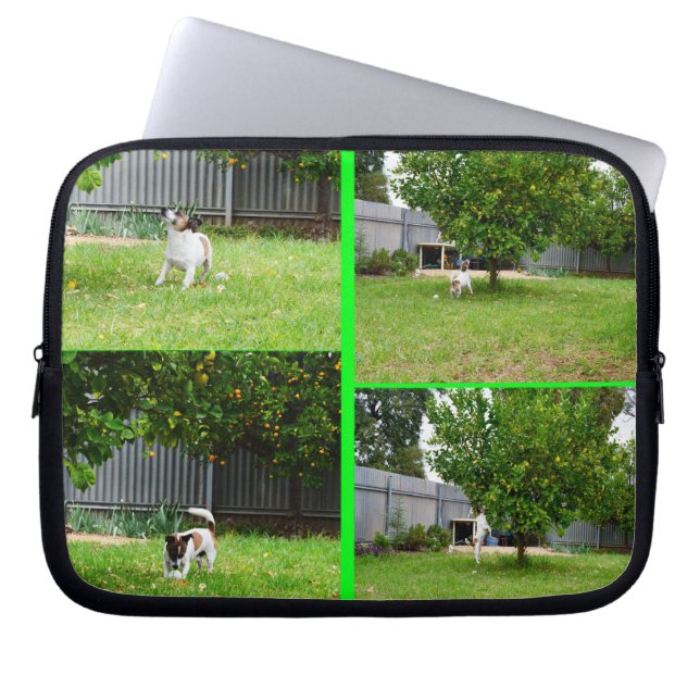 Fox Terrier, foto Collage 10-inch laptophoes. Laptop Sleeve (Voorkant)