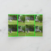 Fox Terrier, fotocollage, Small Birthday Kaart (Binnen)