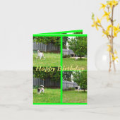 Fox Terrier, fotocollage, Small Birthday Kaart (Gele Bloem)