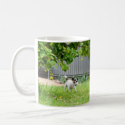 Fox Terrier, Funny Scare Face, White Coffee Mok (Links)